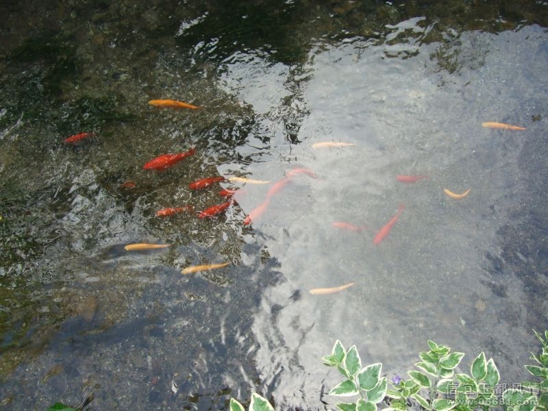 DSCF3875.JPG