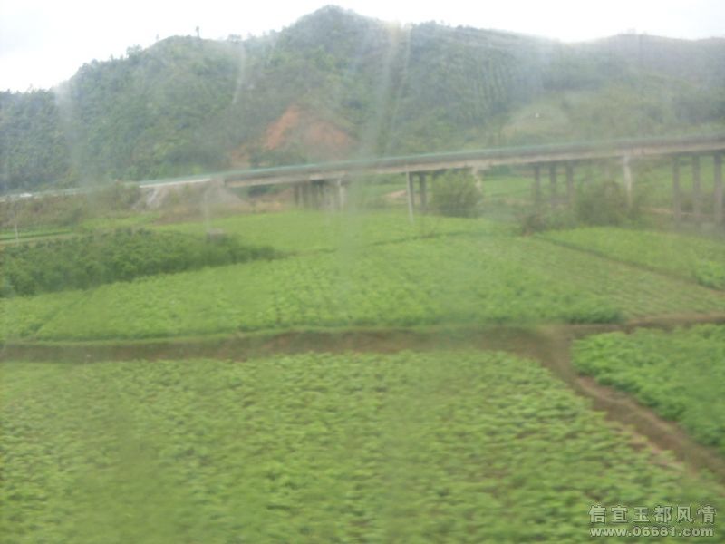 SDC15325.JPG