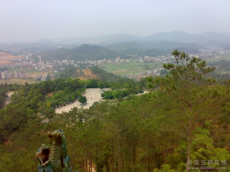 20090411163.jpg