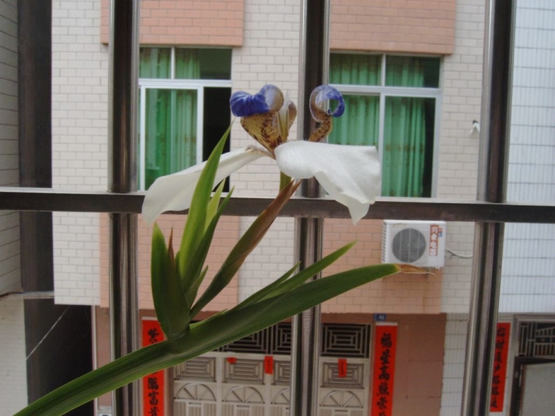 IMAG0091.jpg