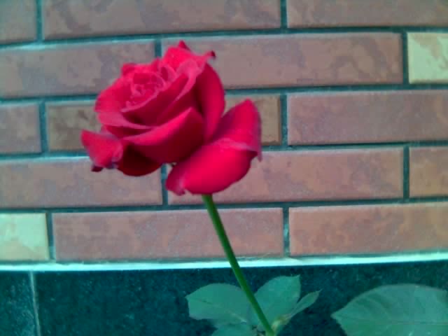 19-03-09_1234.jpg