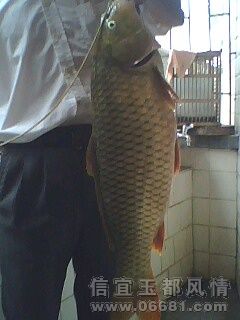IMG0416A.jpg