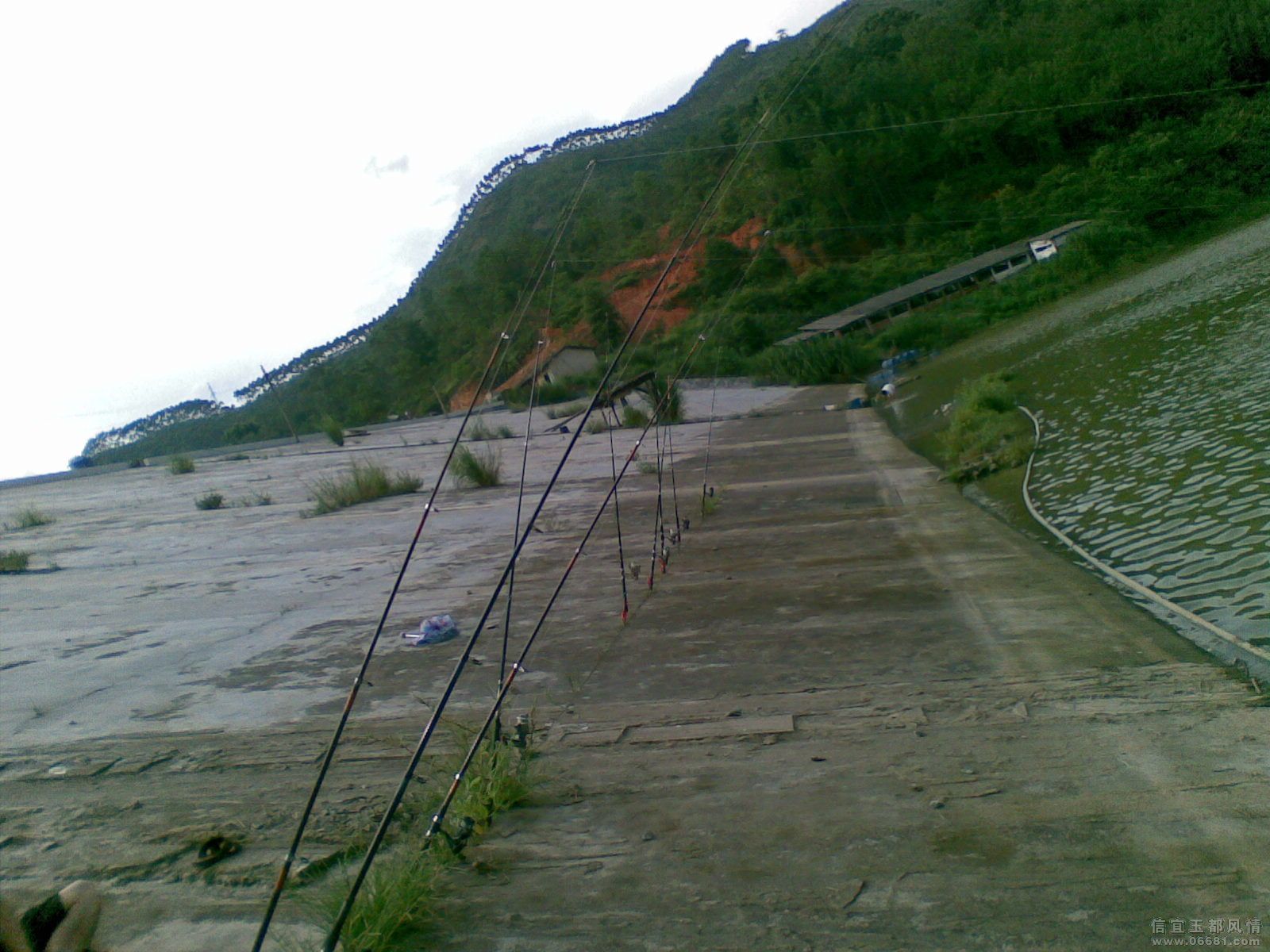 20090702_005.jpg