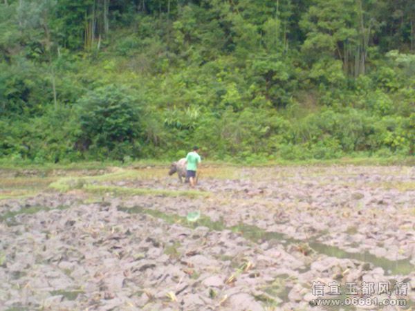 20090721534.jpg