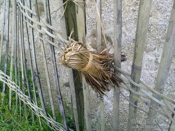 20090721599.jpg
