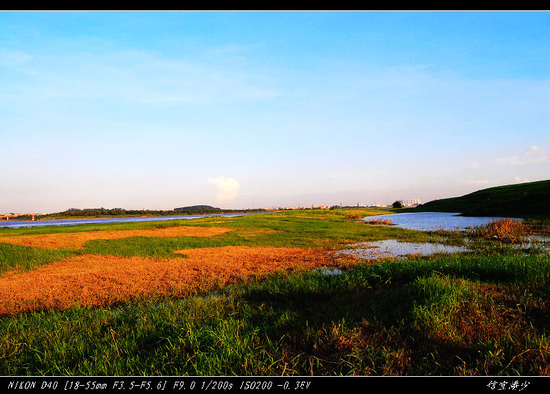 DSC_1875.jpg