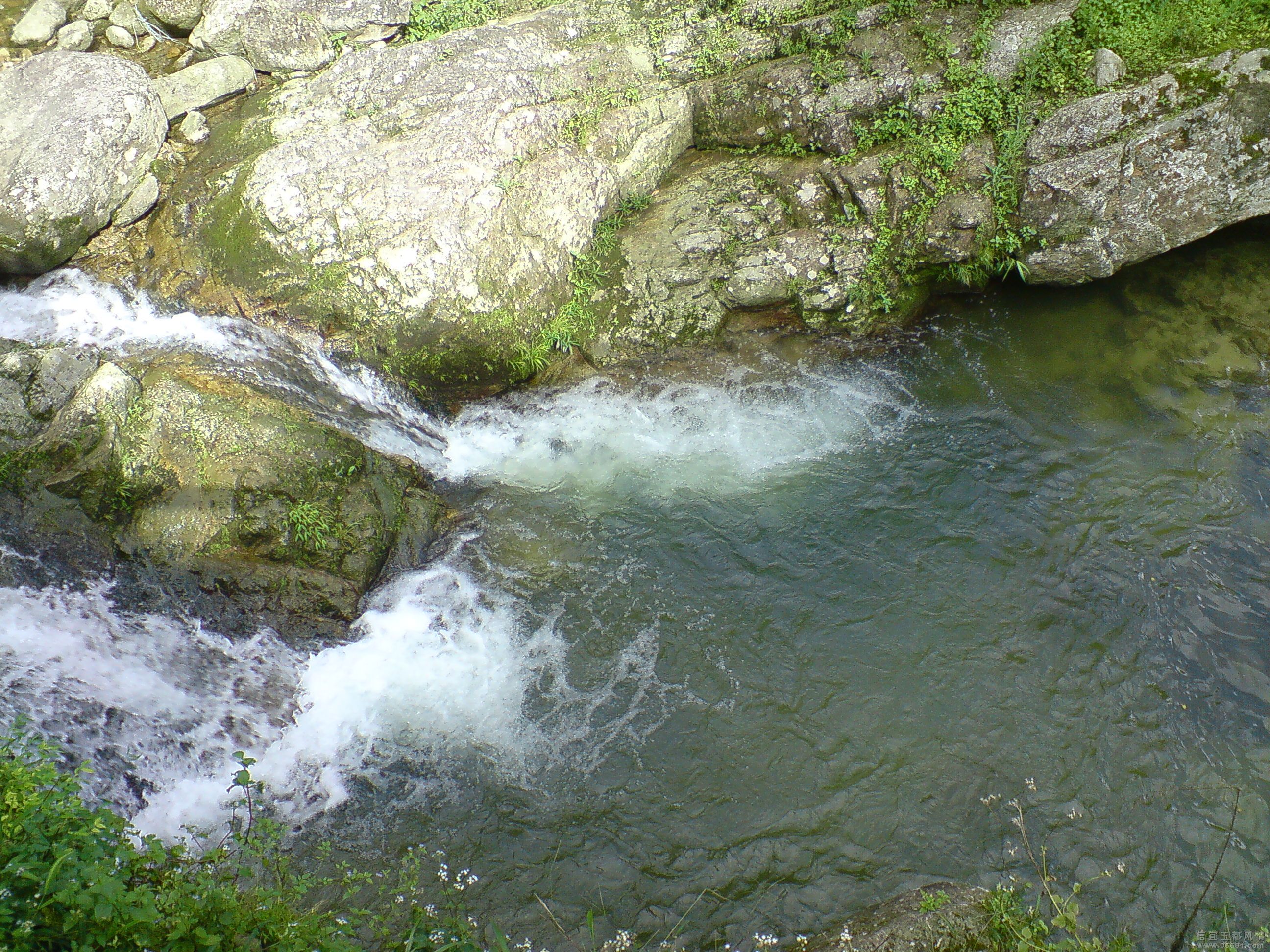 DSC00064.JPG