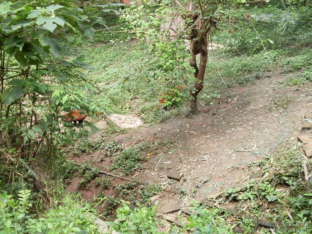 SDC10693.JPG