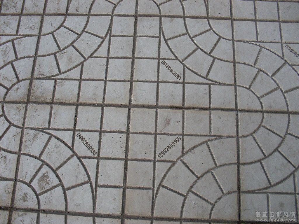 SDC11048.JPG