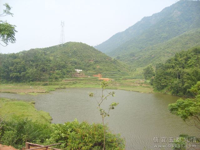 S6306048.JPG