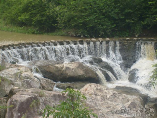 S6305875.JPG