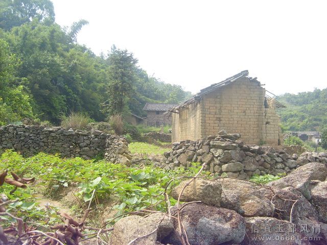 S6306055.JPG