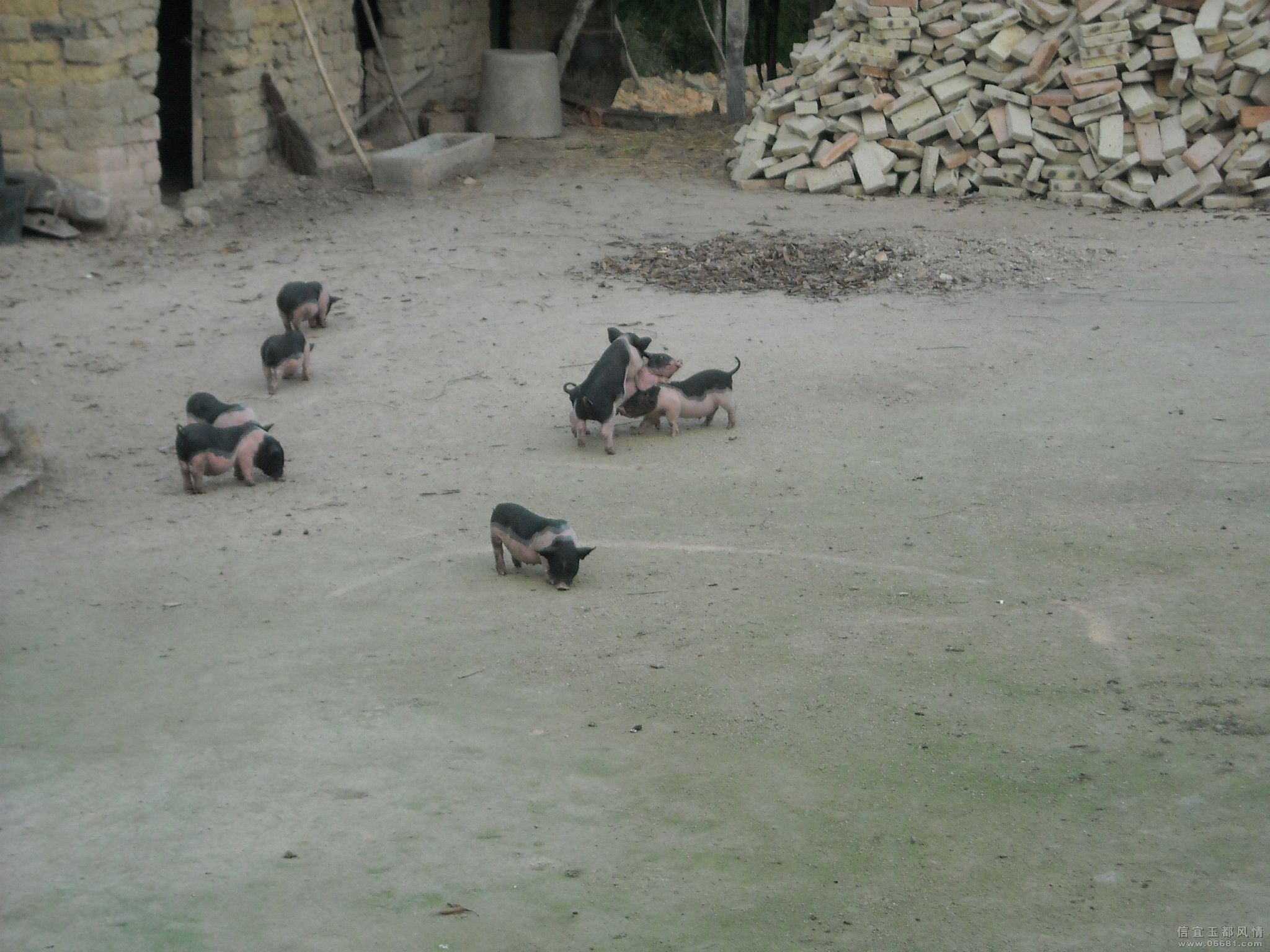 DSCN0177.JPG
