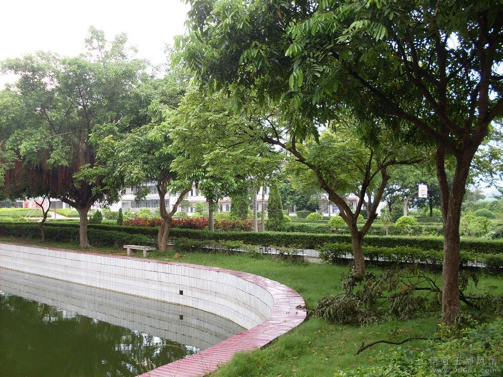 SDC17582.JPG
