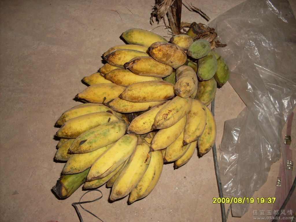 SDC11451.JPG