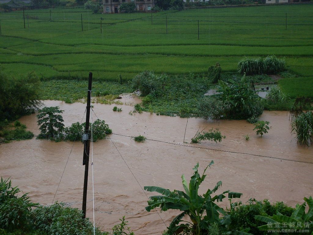 SDC11682.JPG