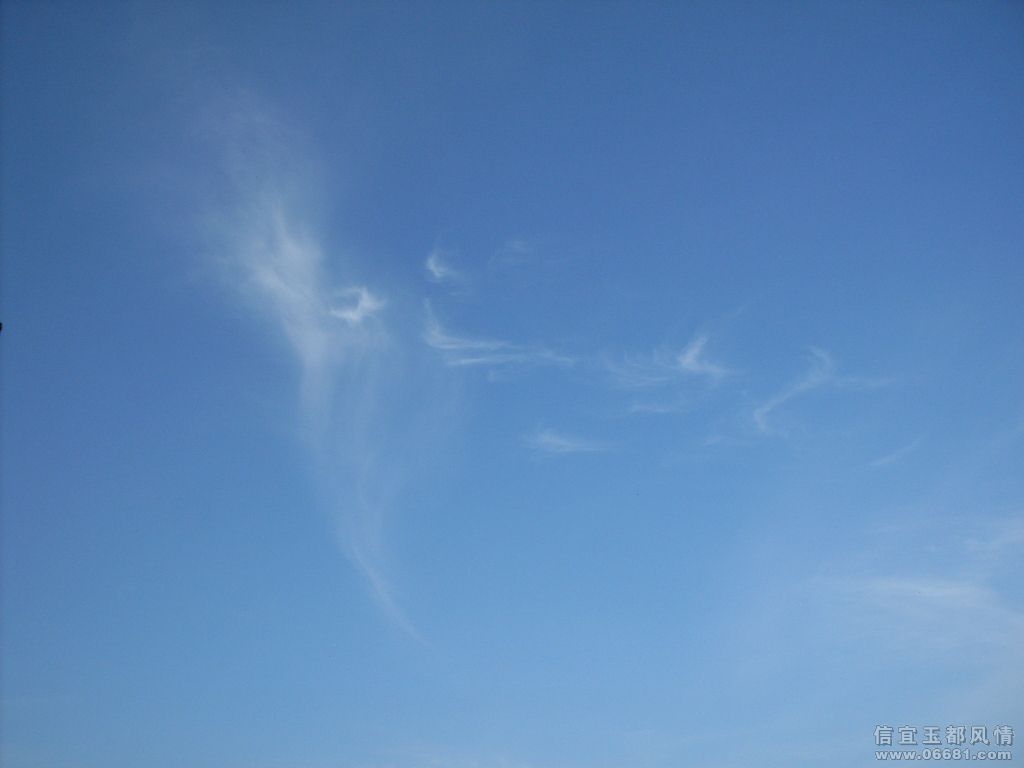 SDC11729.JPG