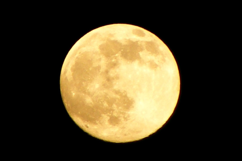 DSCF6414.JPG