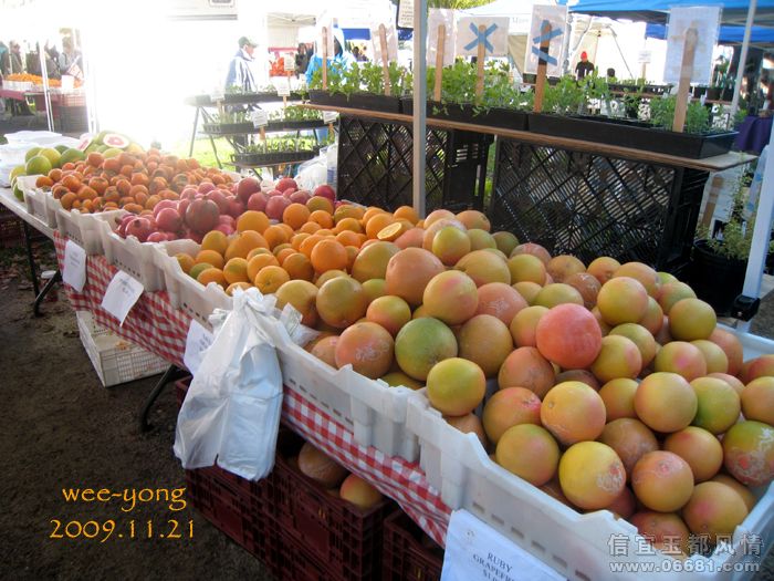 Farmer-Market_24.jpg