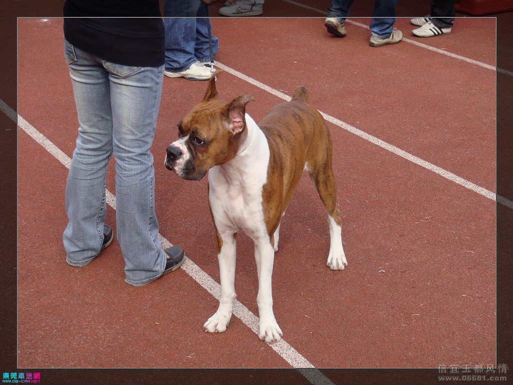 20091214_954538668b1ab47a35472KtGddI35DuD[1].jpg