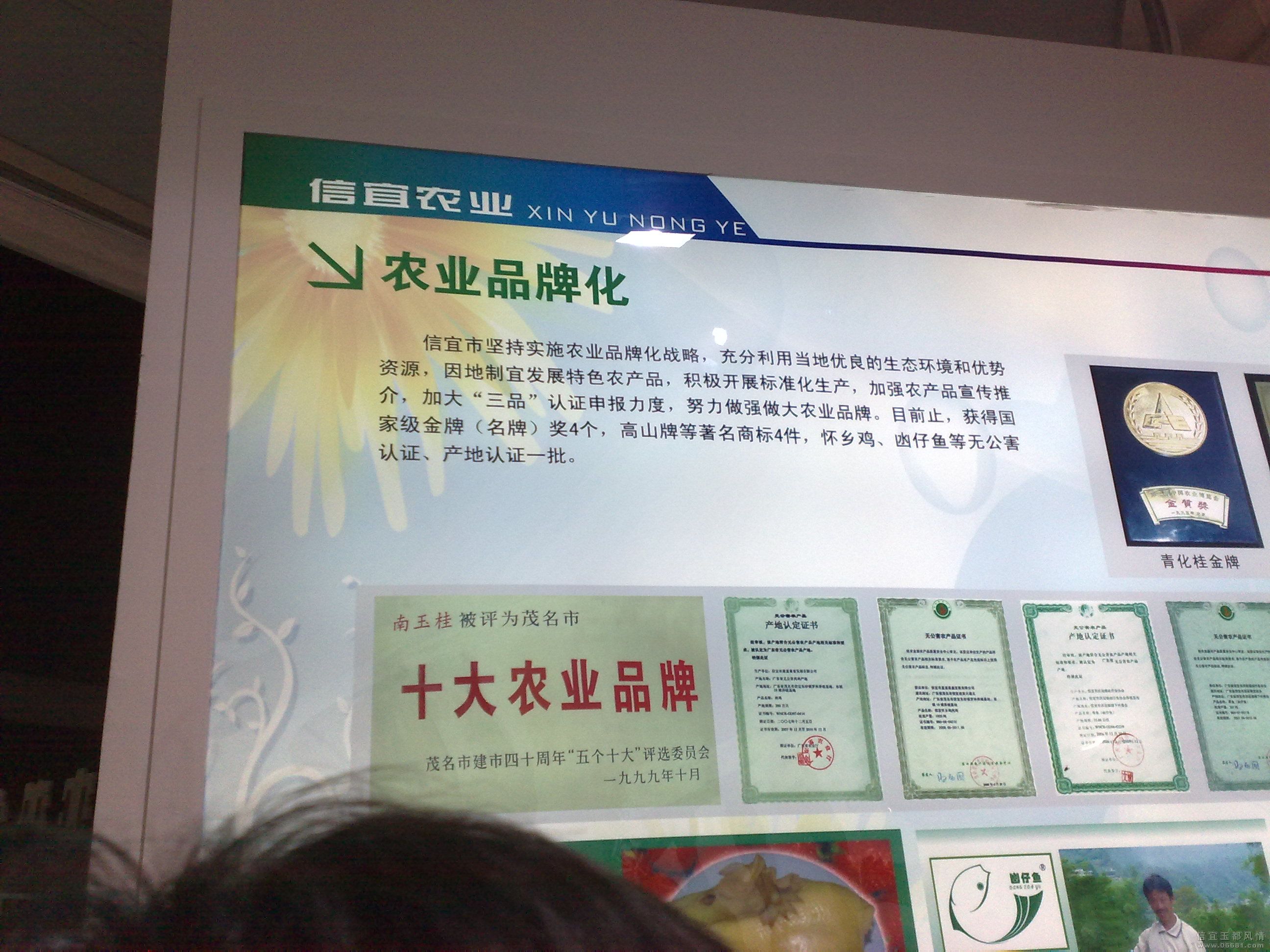 20091225449.jpg