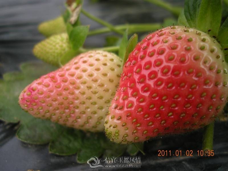 DSCN0294.jpg