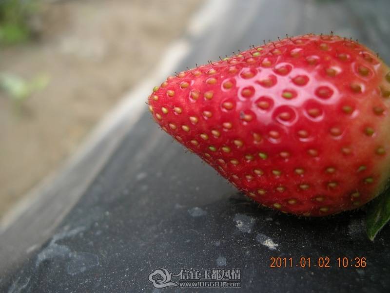 DSCN0297.jpg