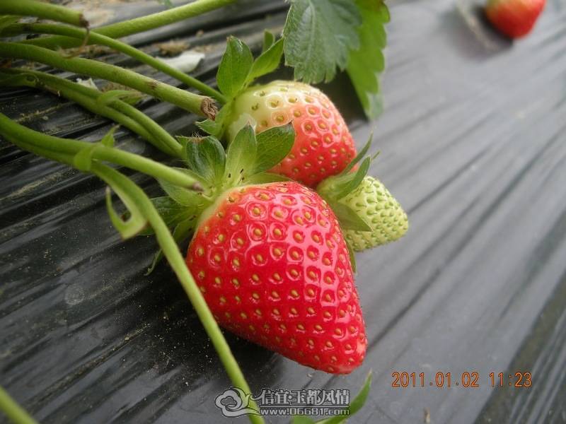 DSCN0338.jpg