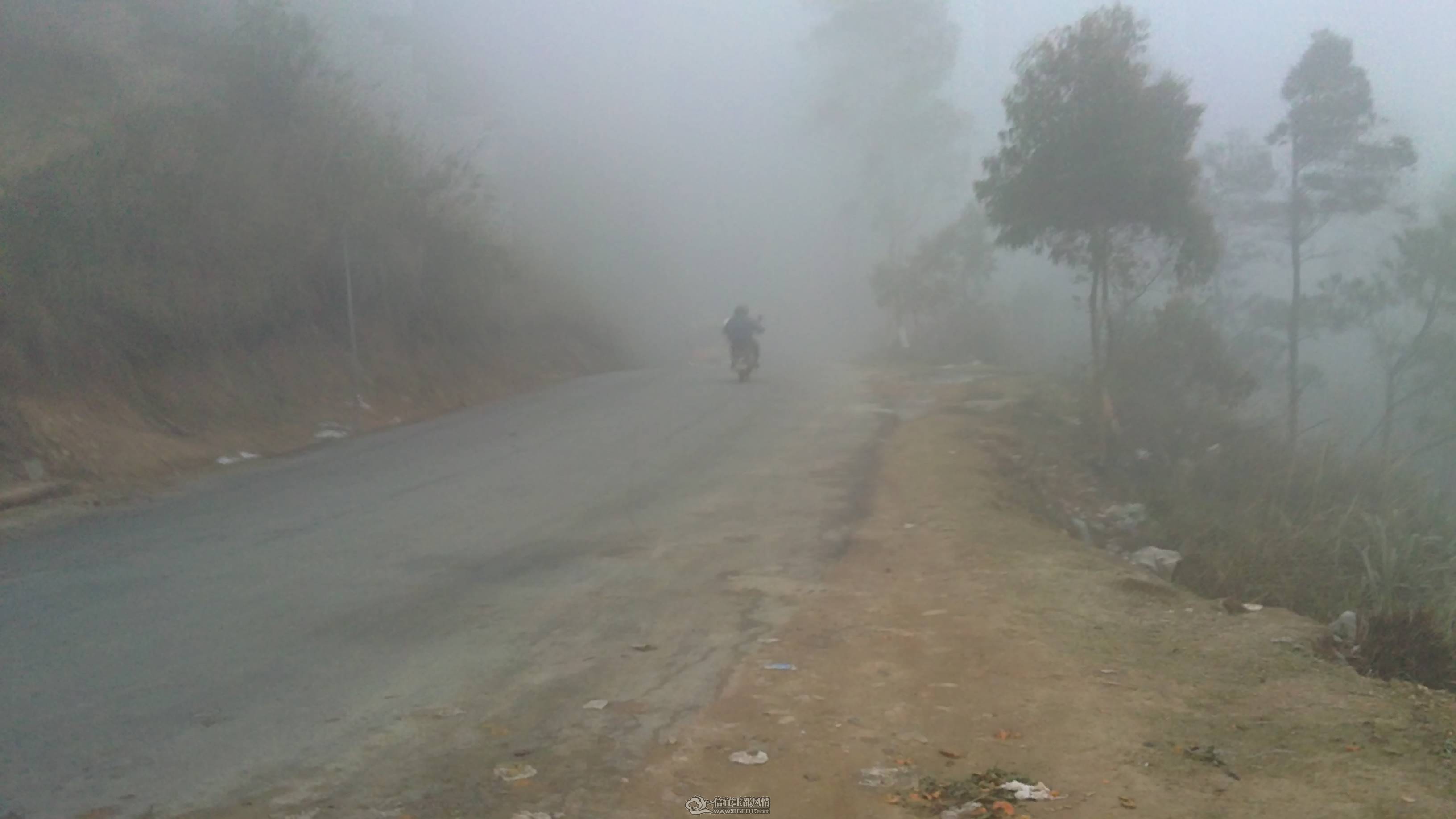 20110109101.JPG
