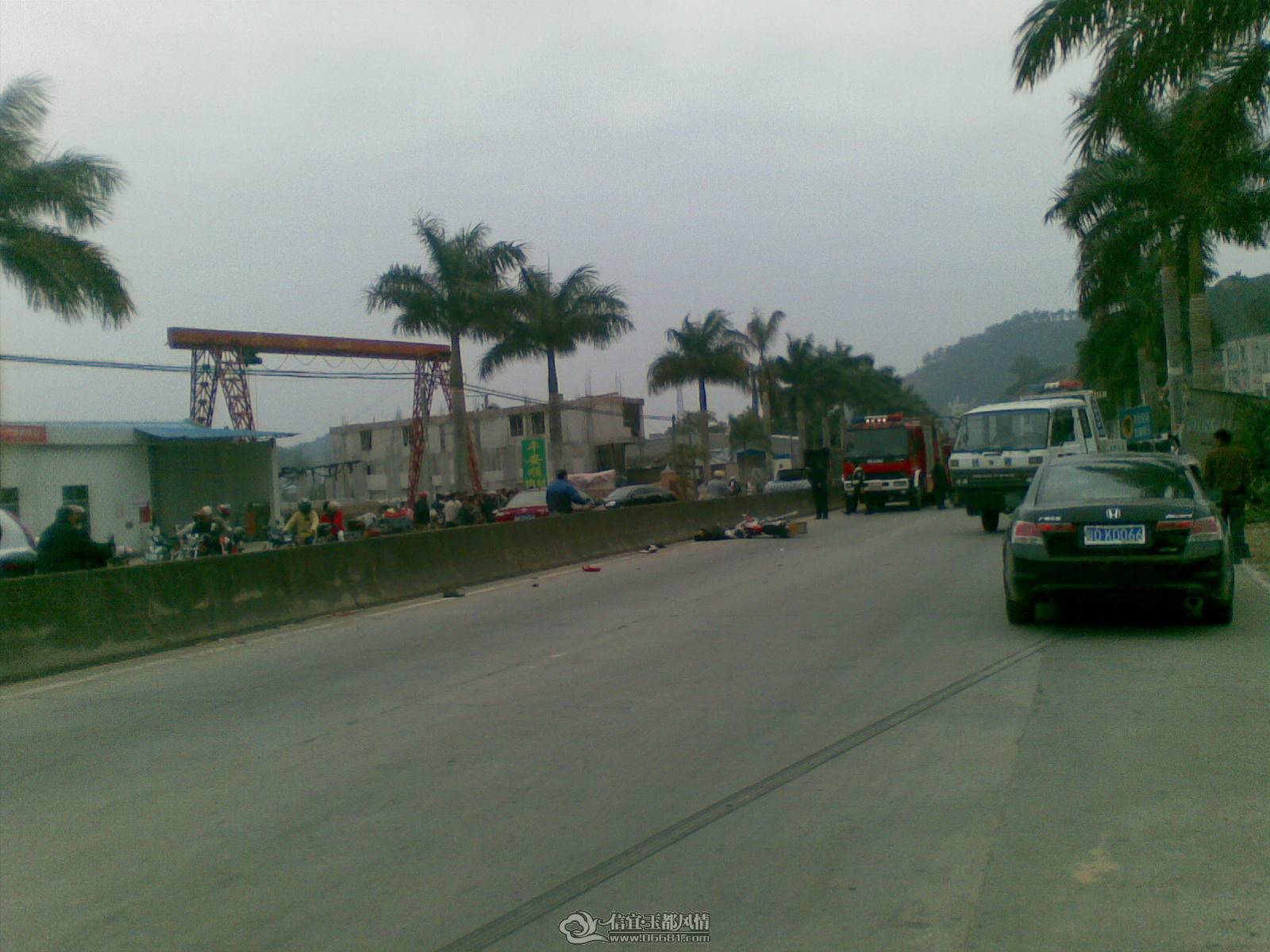 20110126_002.jpg