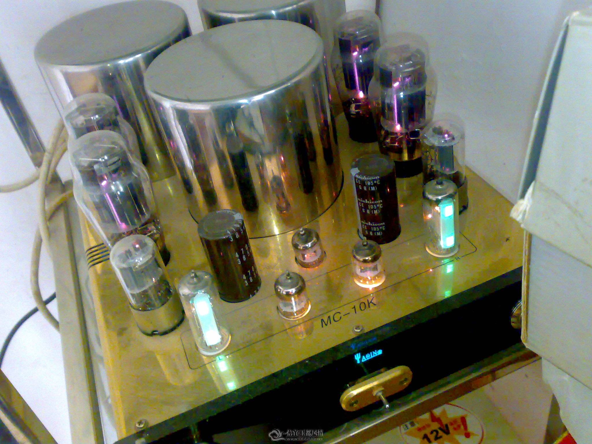 20110130008.jpg