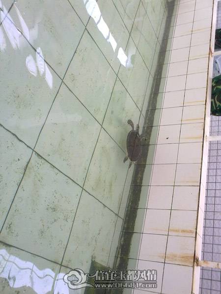201101011152.jpg