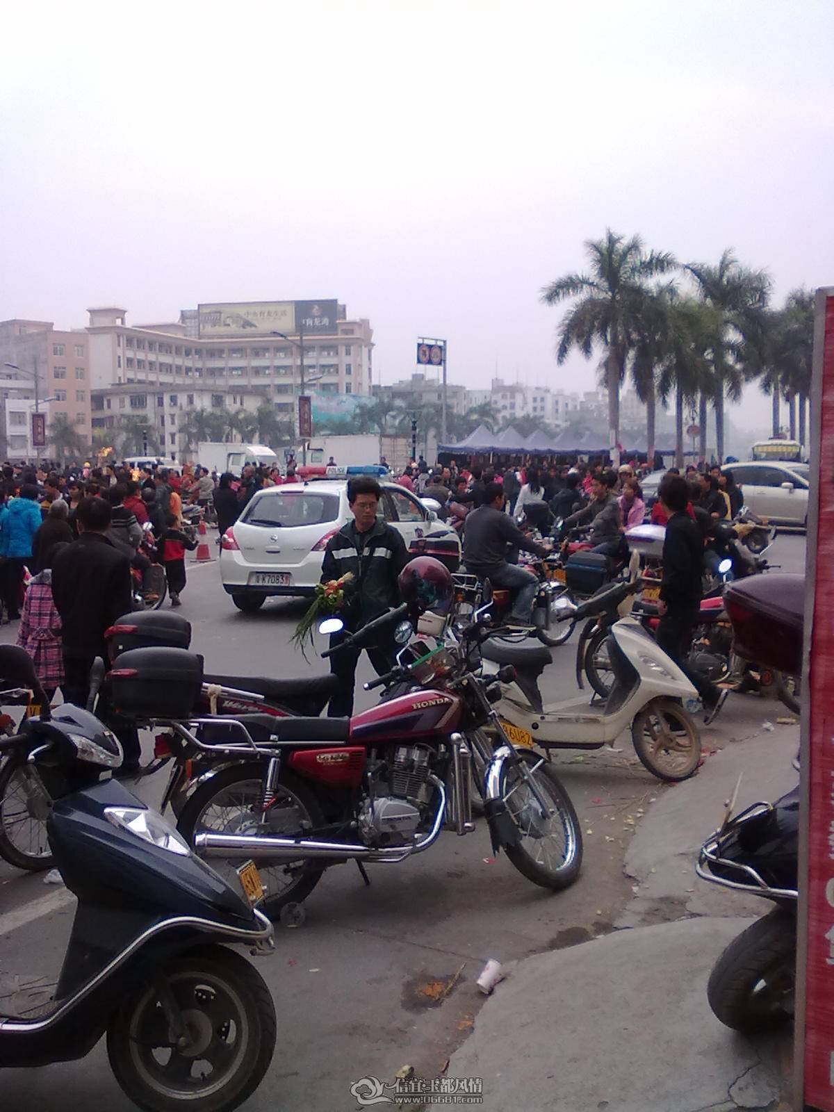 20110203960.jpg