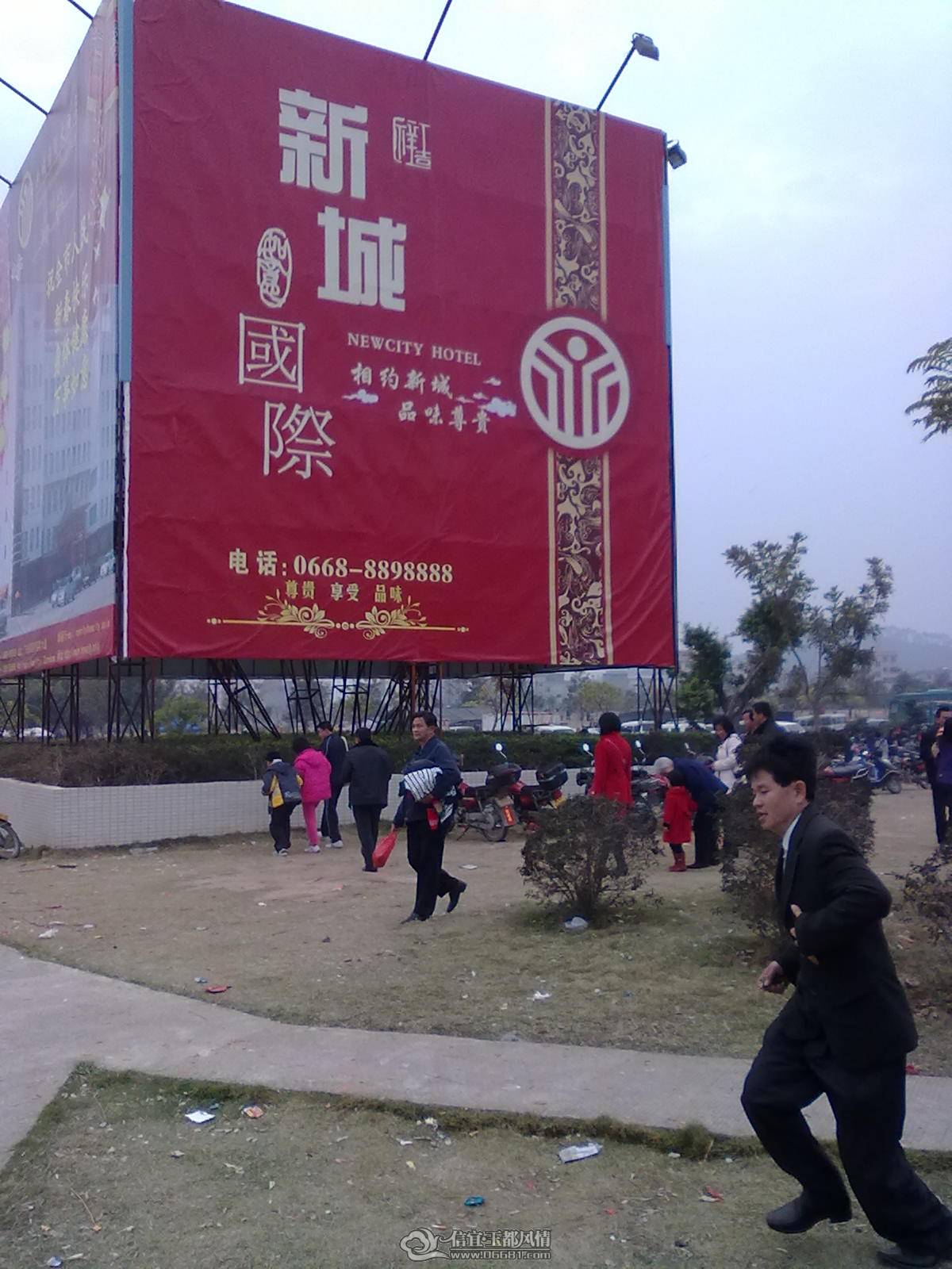 20110203994.jpg