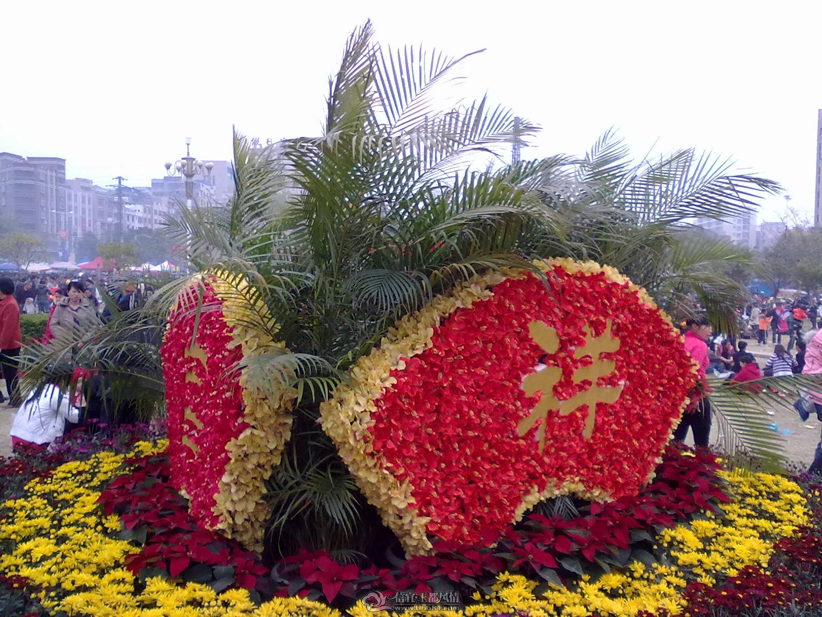 20110203995.jpg