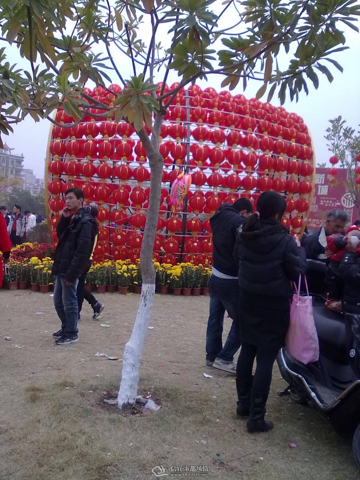 201102031003.jpg
