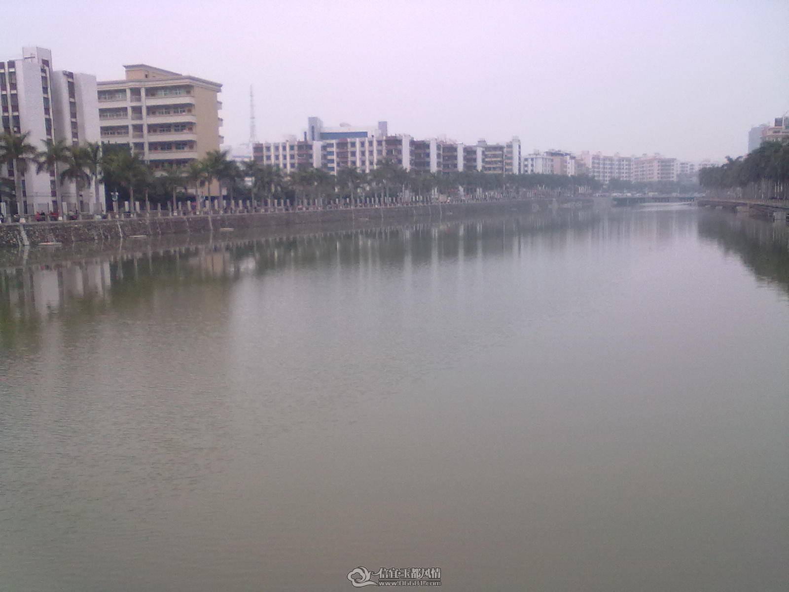 20110203950.jpg