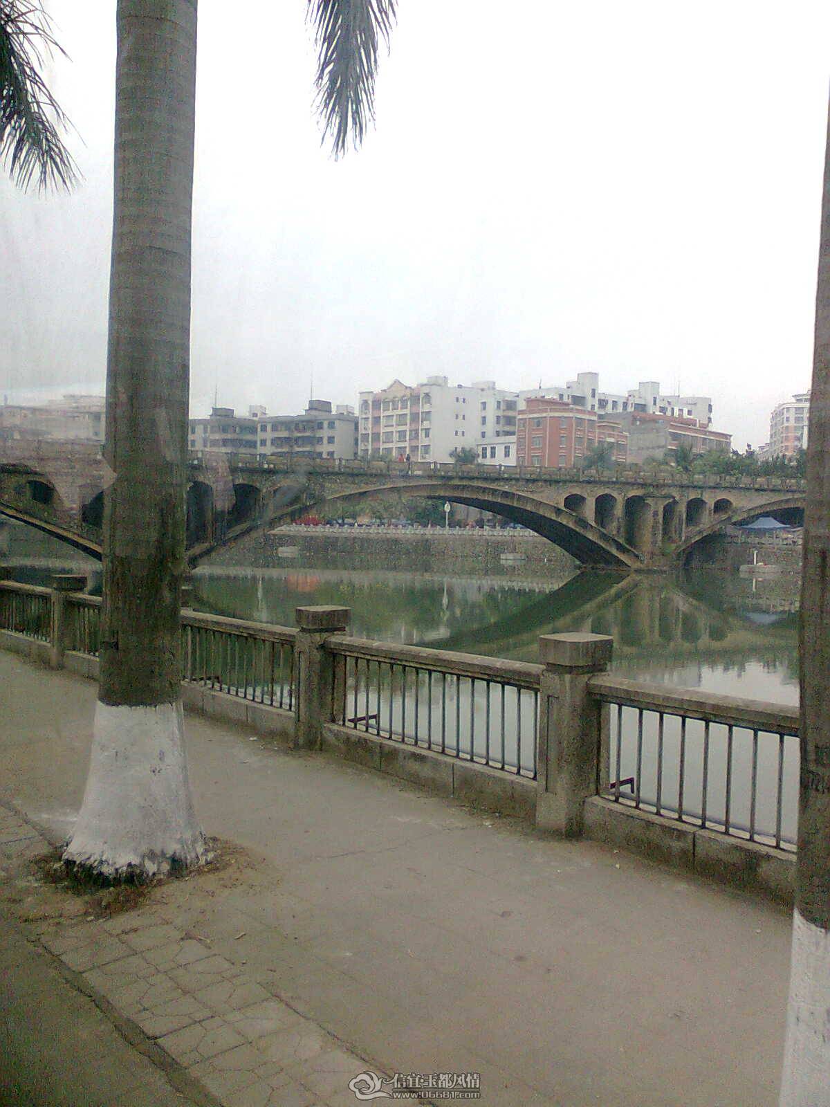 ͼ��1302.jpg
