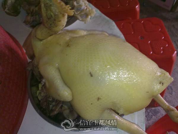 201102021302.jpg