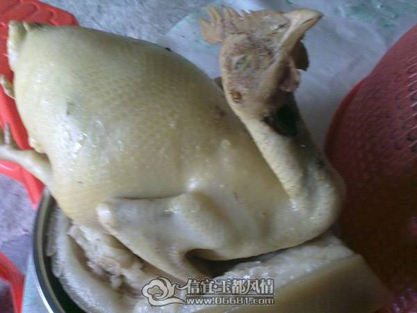 201102021305.jpg