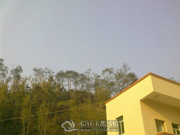 201102041348.jpg
