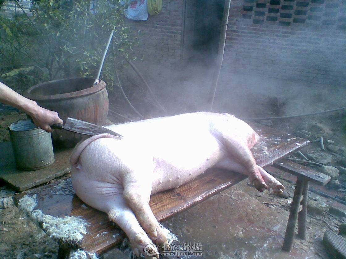 135.jpg