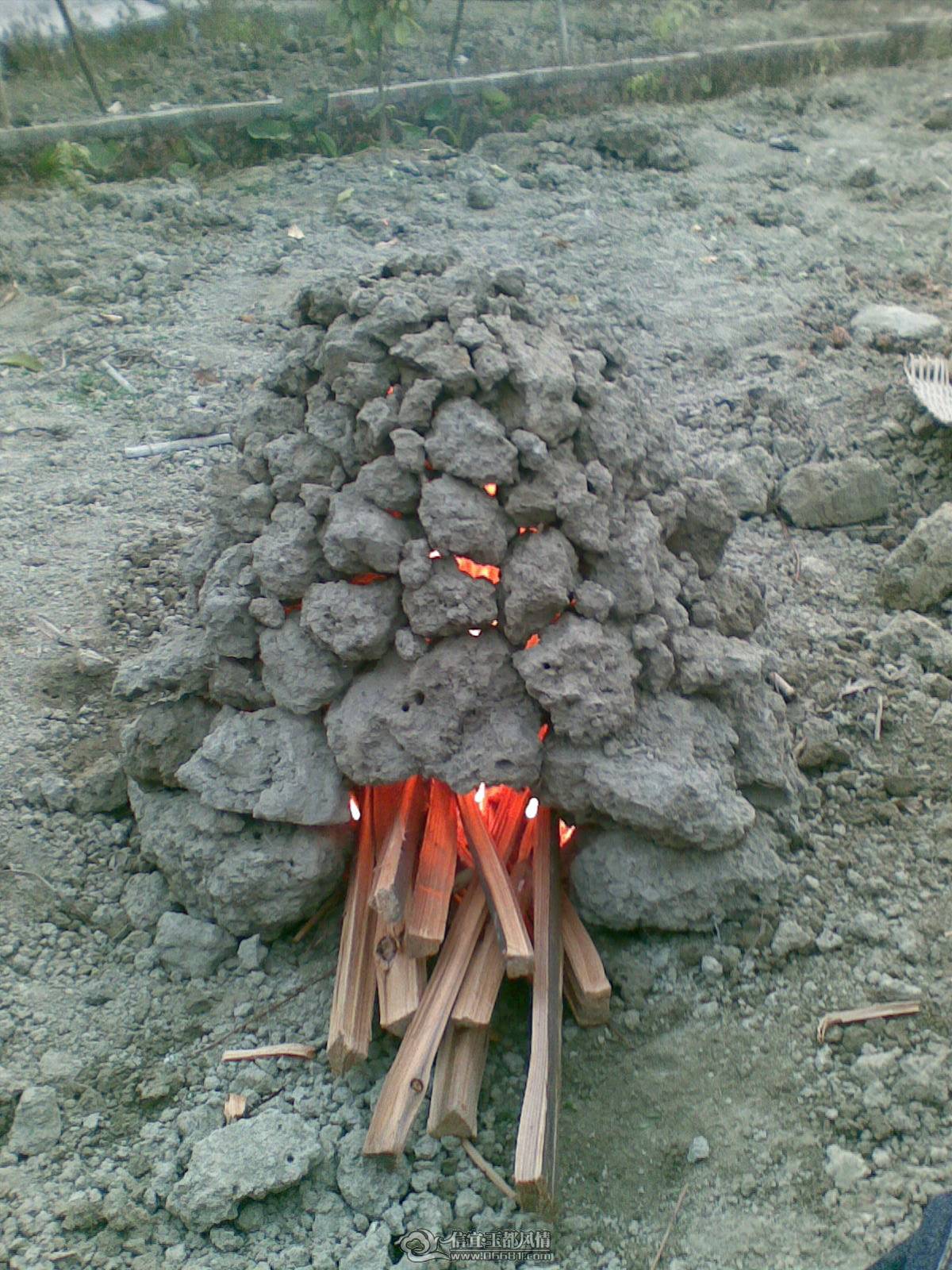 20110208_006.jpg
