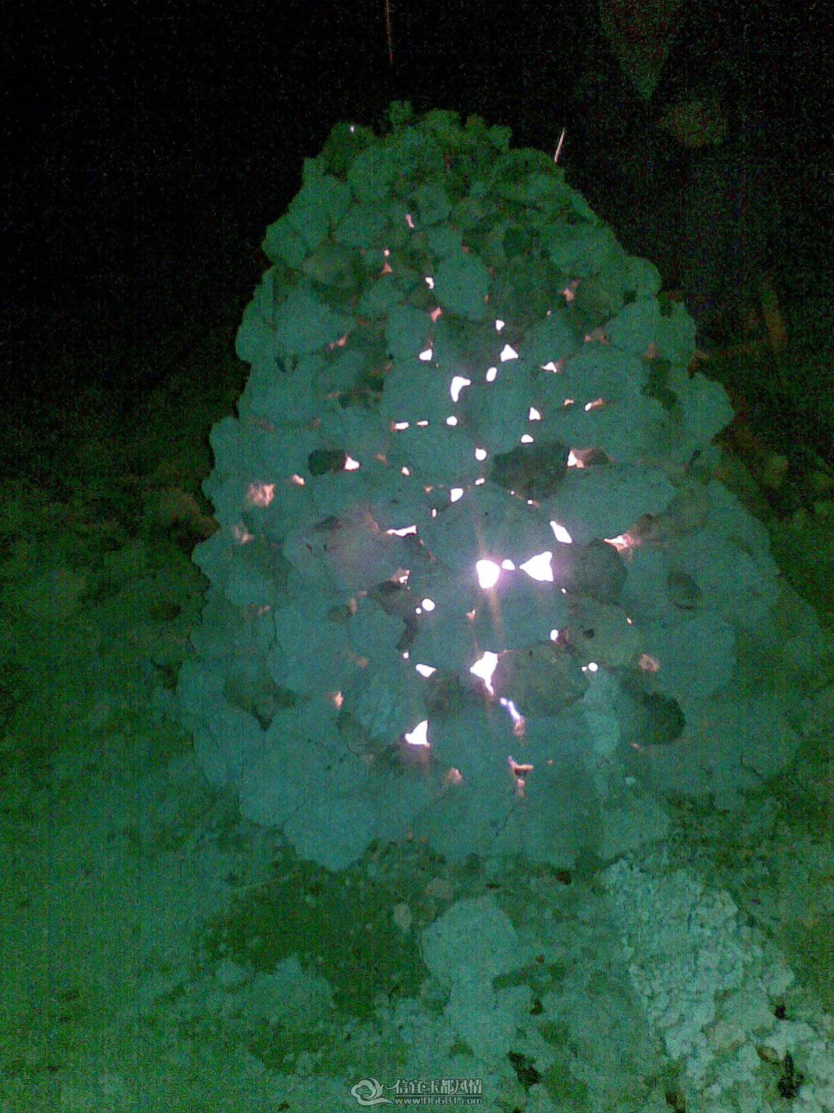 20110208_012.jpg