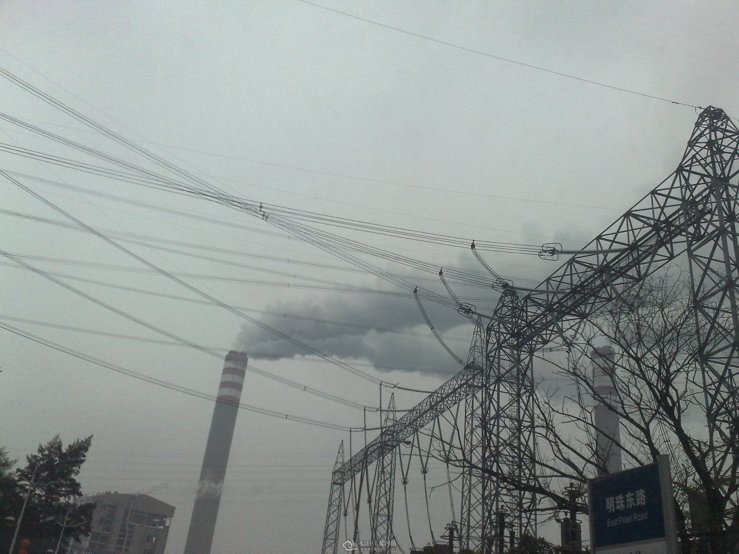 20110215305.jpg