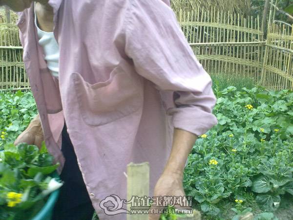 201102071409.jpg