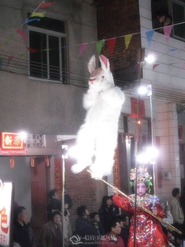 SDC11376.JPG