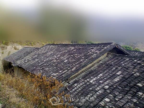 201102071396.jpg