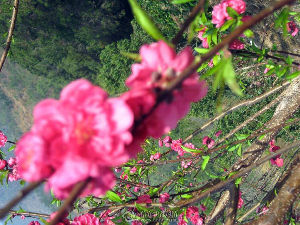 IMG_5341.jpg