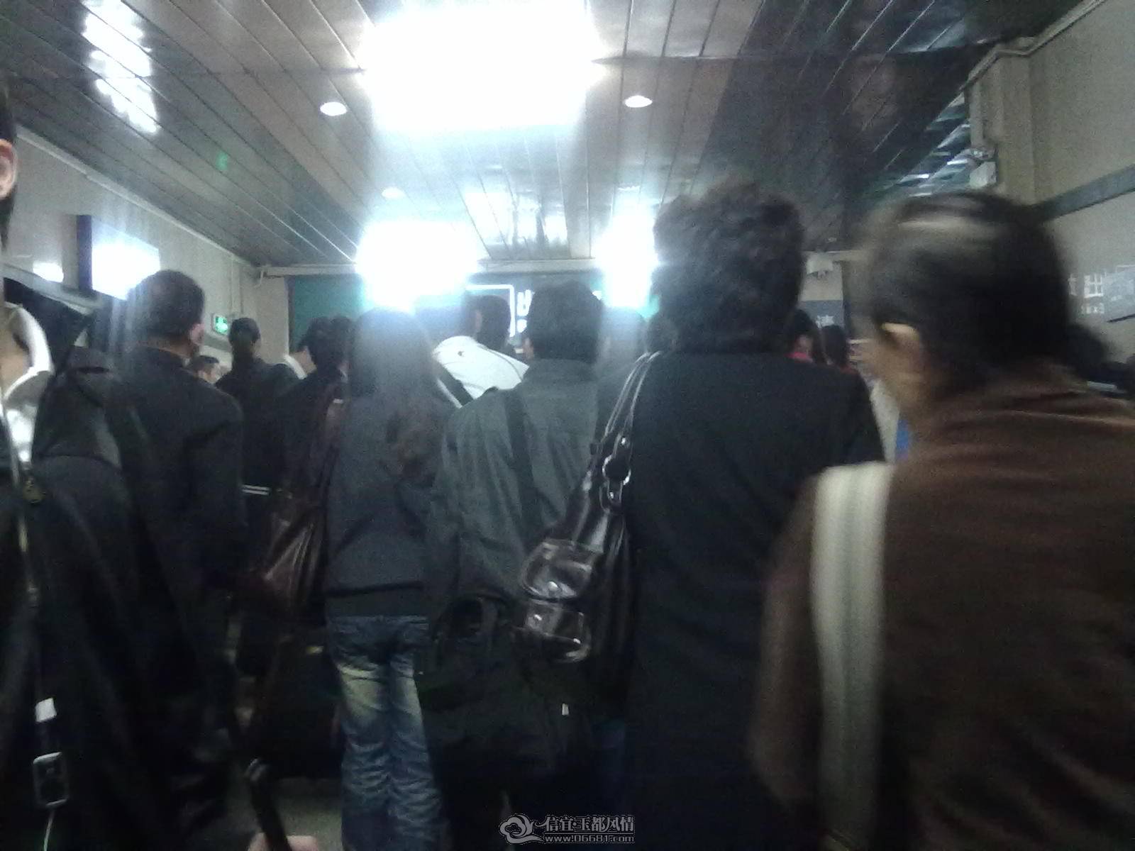 20110303106.jpg